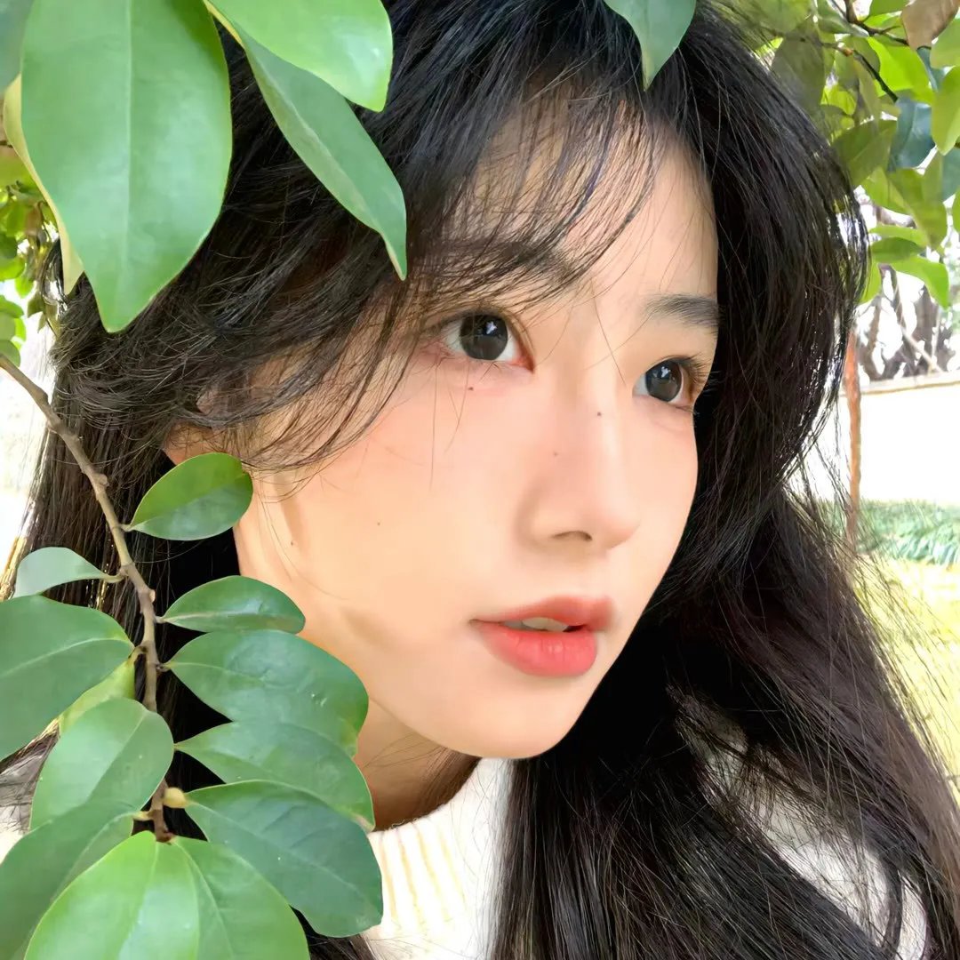 麻雀变王妃
